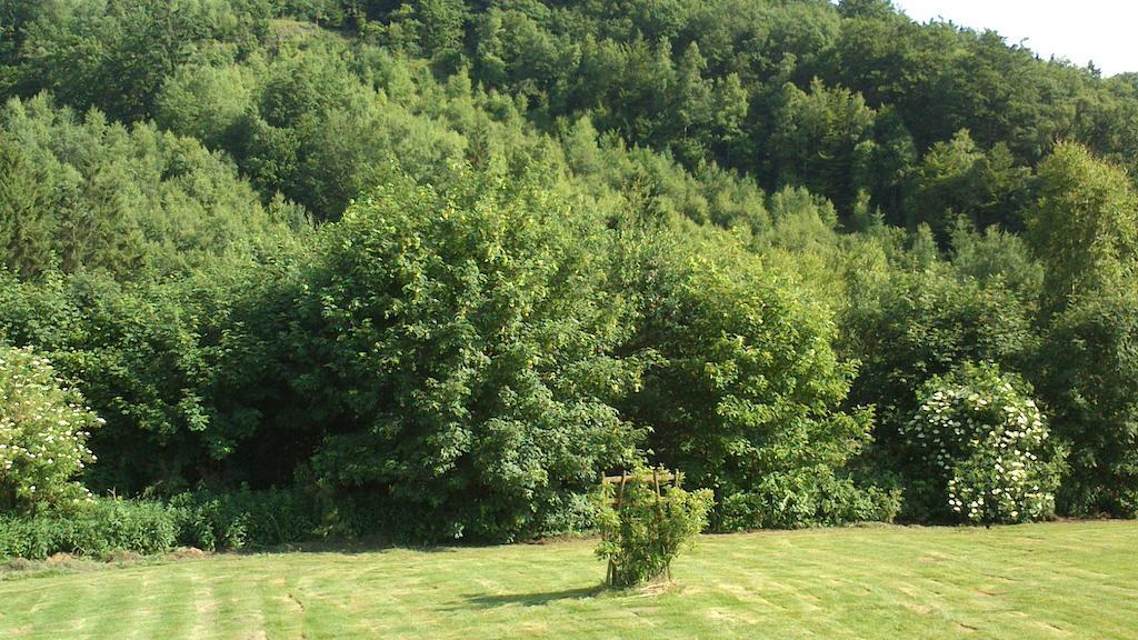 La Cle Des Champs Vila Bertogne Exterior foto